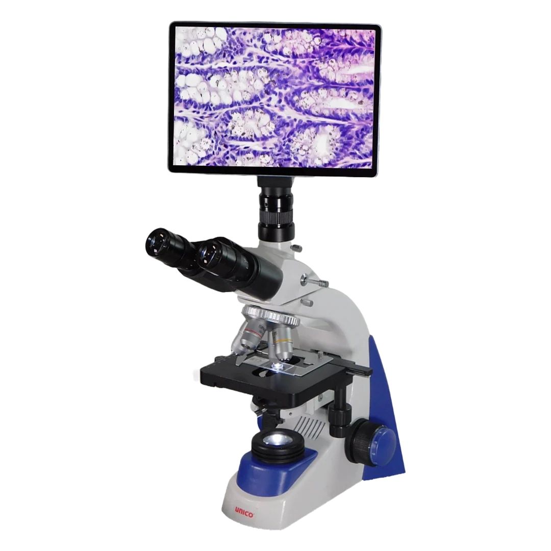 Cámara para microscopio DigiScout B6-8286