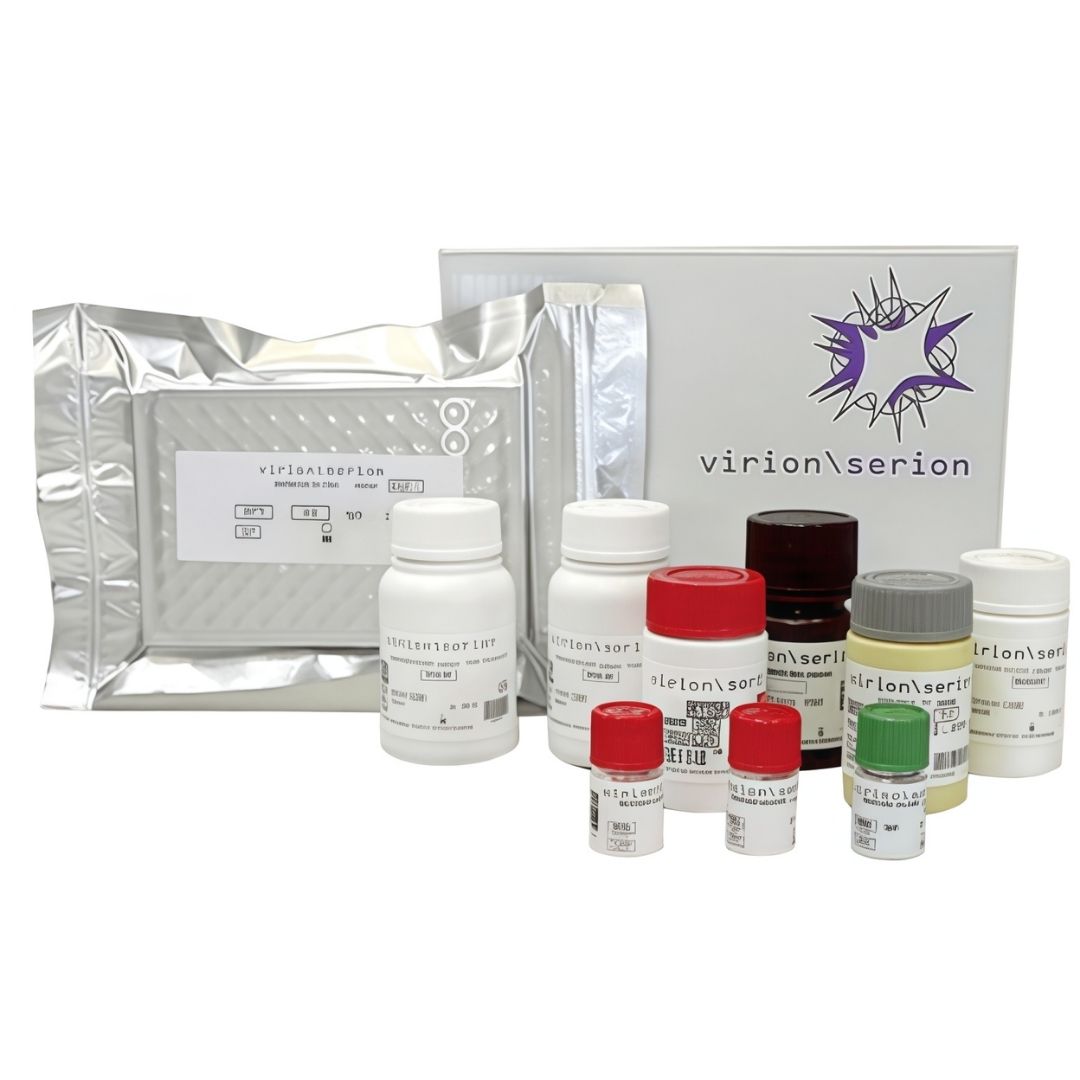 Kits de inmunoensayo SERION ELISA classic